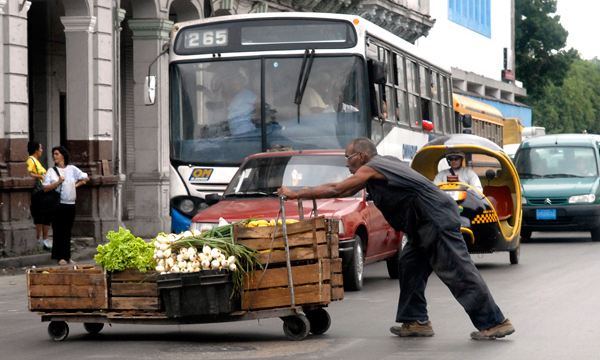 Vendedor de productos agrícolas de forma ambulatoria