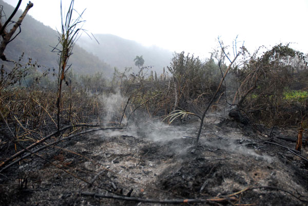 Incendios Forestales