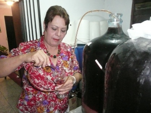 Vinos Bayado