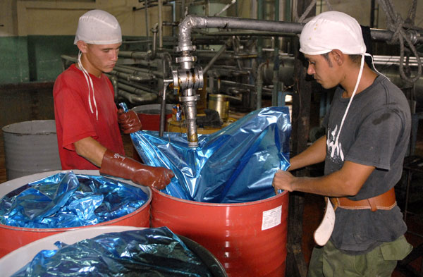 Trabajadores Jóvenes