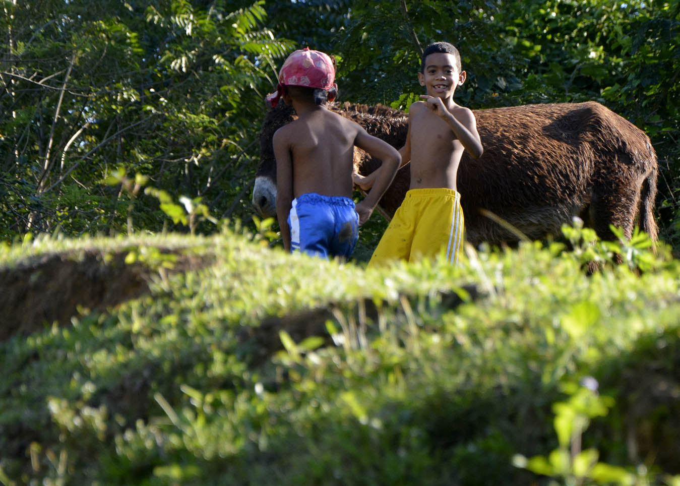 Platero, una historia del III Frente