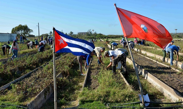 Jóvenes junto al pueblo camagüeyano. Jóvenes junto al pueblo camagüeyano.