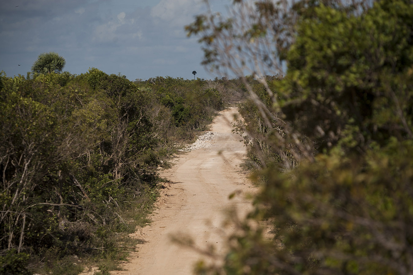 Caminos parque eólico