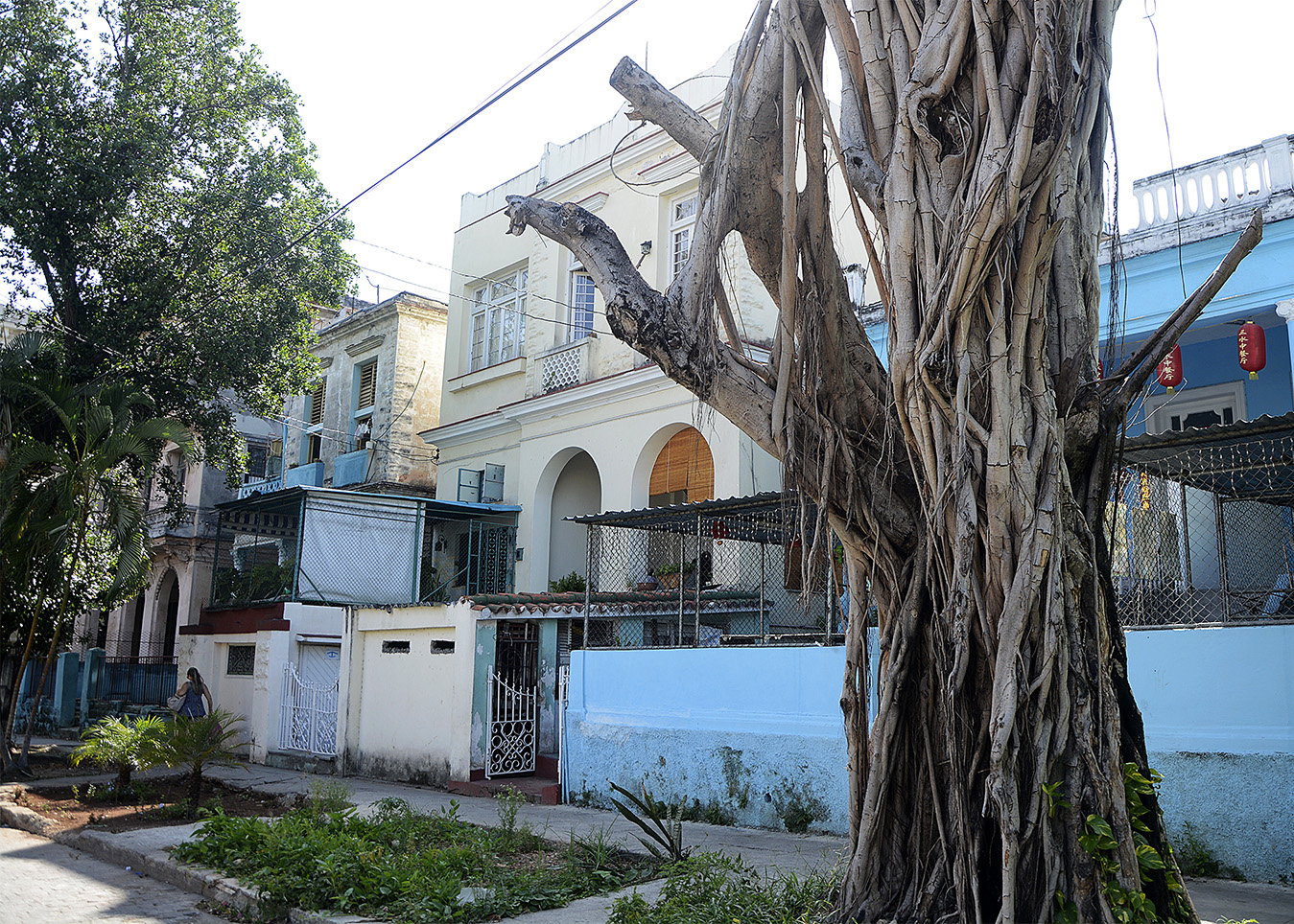huracan irma despues  1