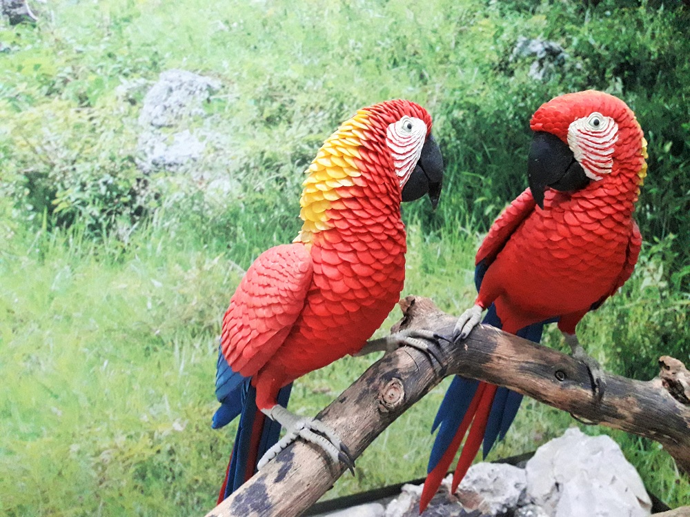 museo-cera-foto-laura-barrera-jerezº12 sip