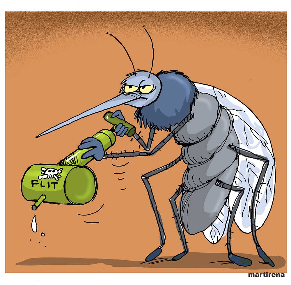 Mosquitos Insecticida