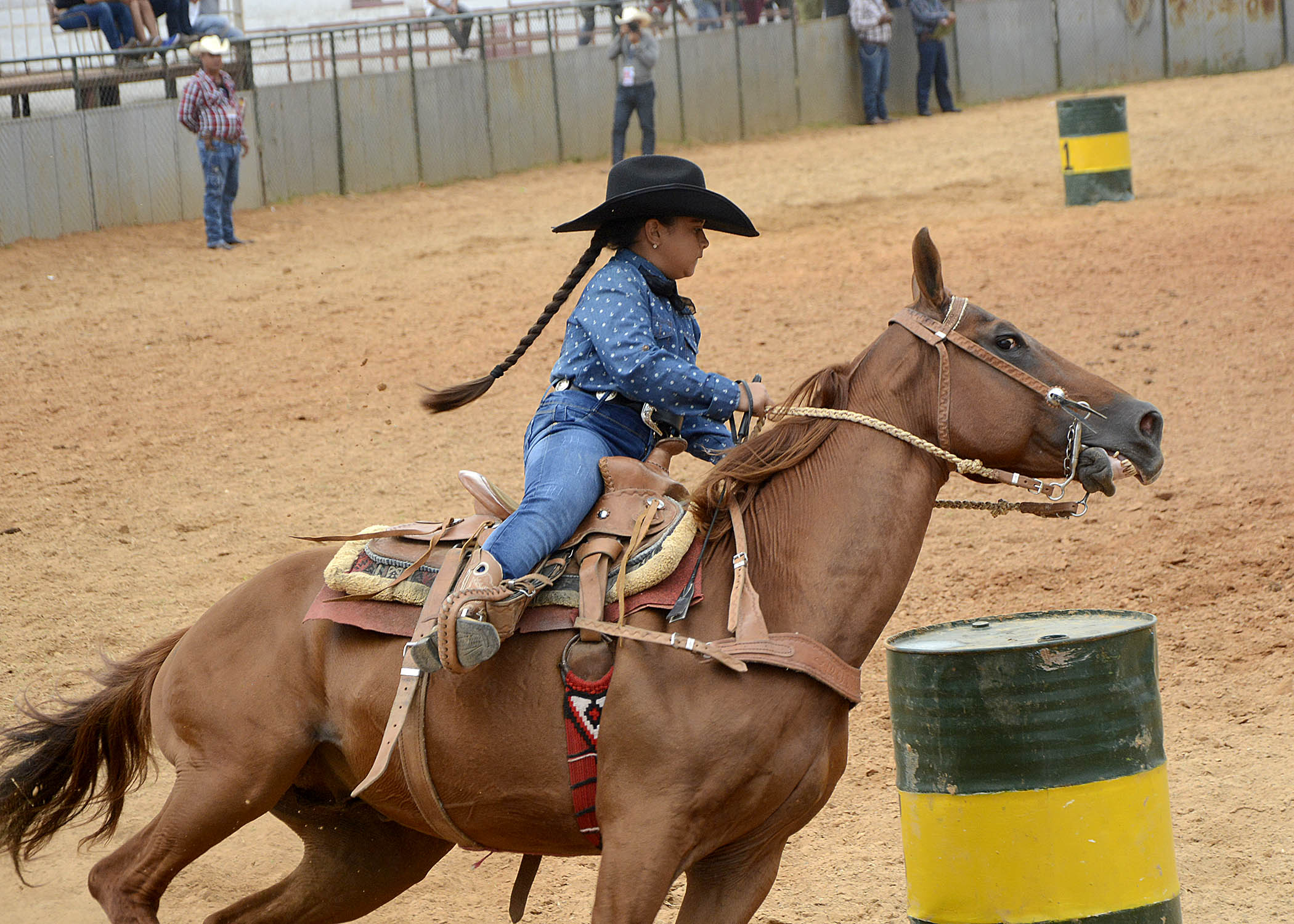 Feria Agropecuaria-La Habana1