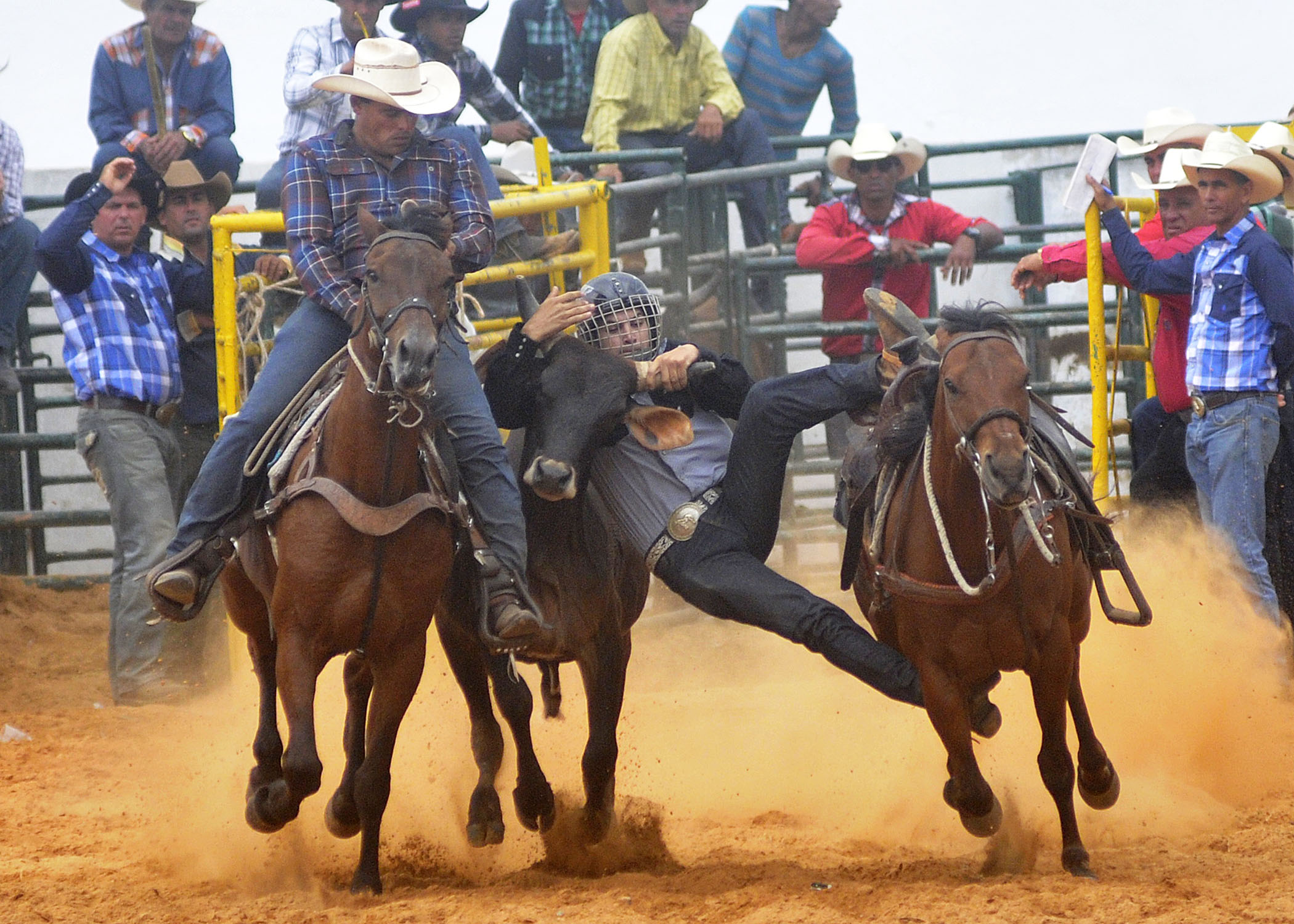 Feria Agropecuaria-La Habana3