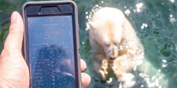 Ola de calor -Alemania