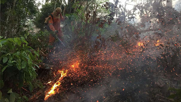 Incendios Amazonía 2019