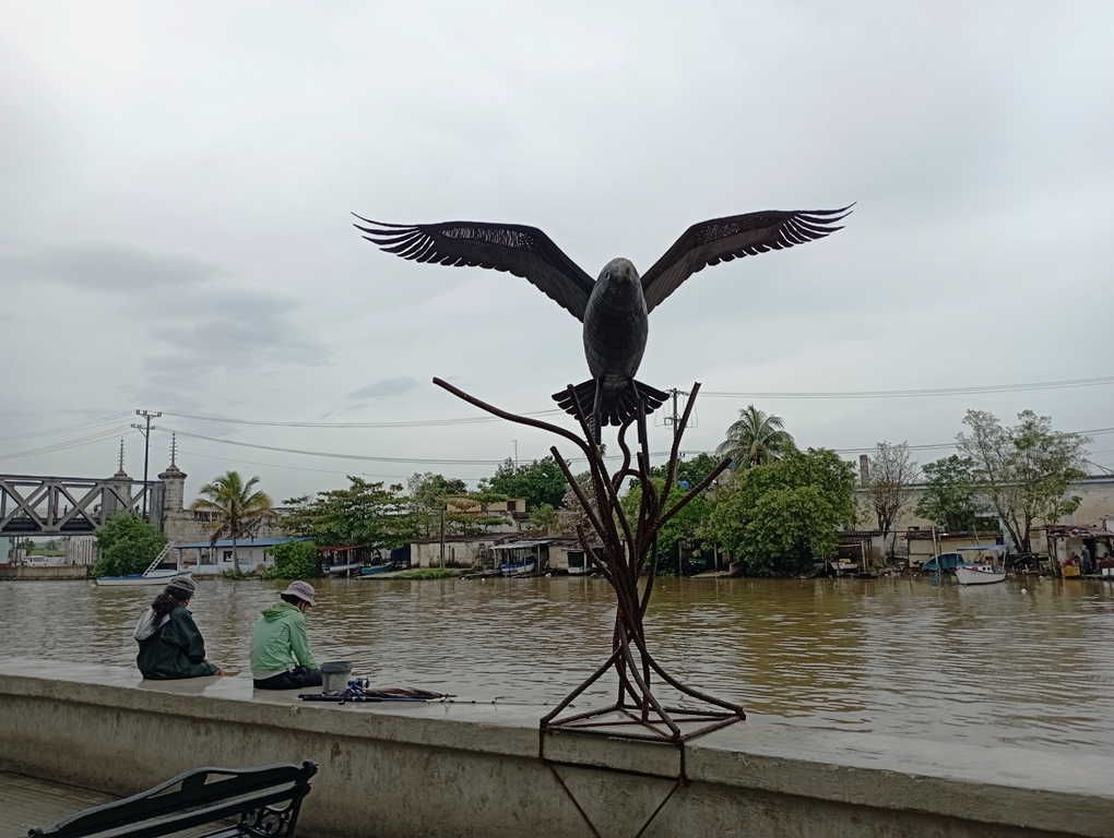 Gaviota metálica