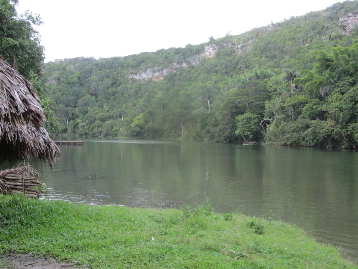 La arboleda Matanzas