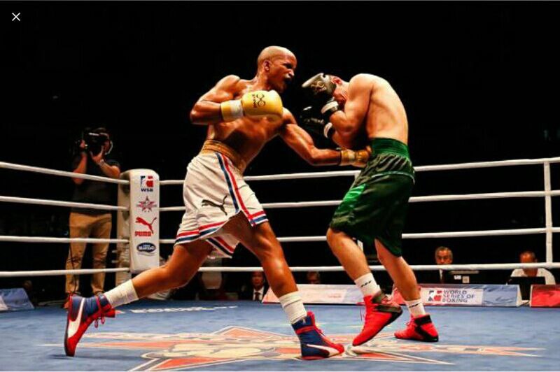 Boxeadores Domadores de Cuba