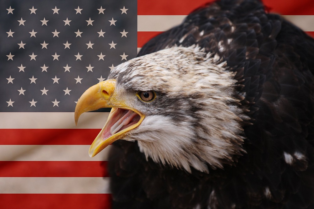 Bandera Norteamericana Aguila imperial