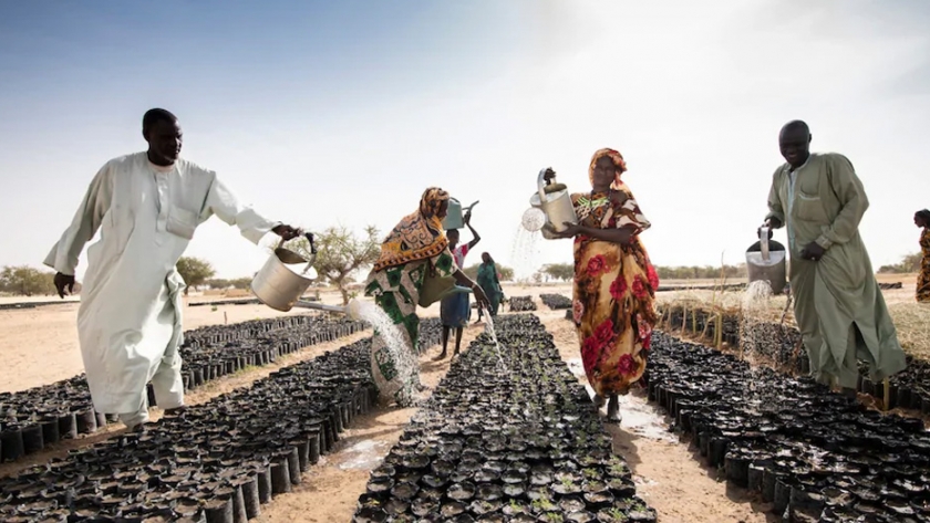 Agricultura en Africa