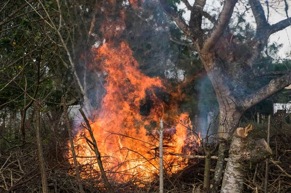 Incendio forestal 