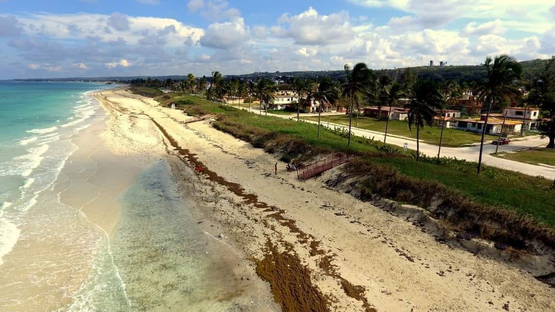 El Tren de la Playa Recesa y Regresará (Naturaleza Secreta de Cuba)