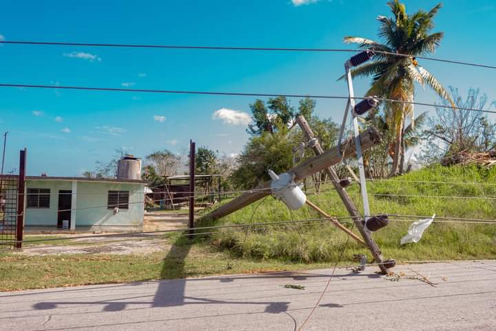 Una familia llamada Cabañas (Naturaleza Secreta de Cuba)