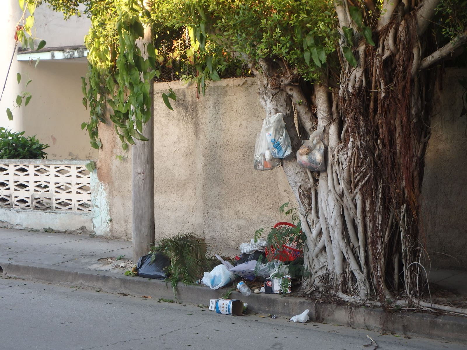 La falta de conciencia social es una imagen recurrente en muchos pueblos y ciudades