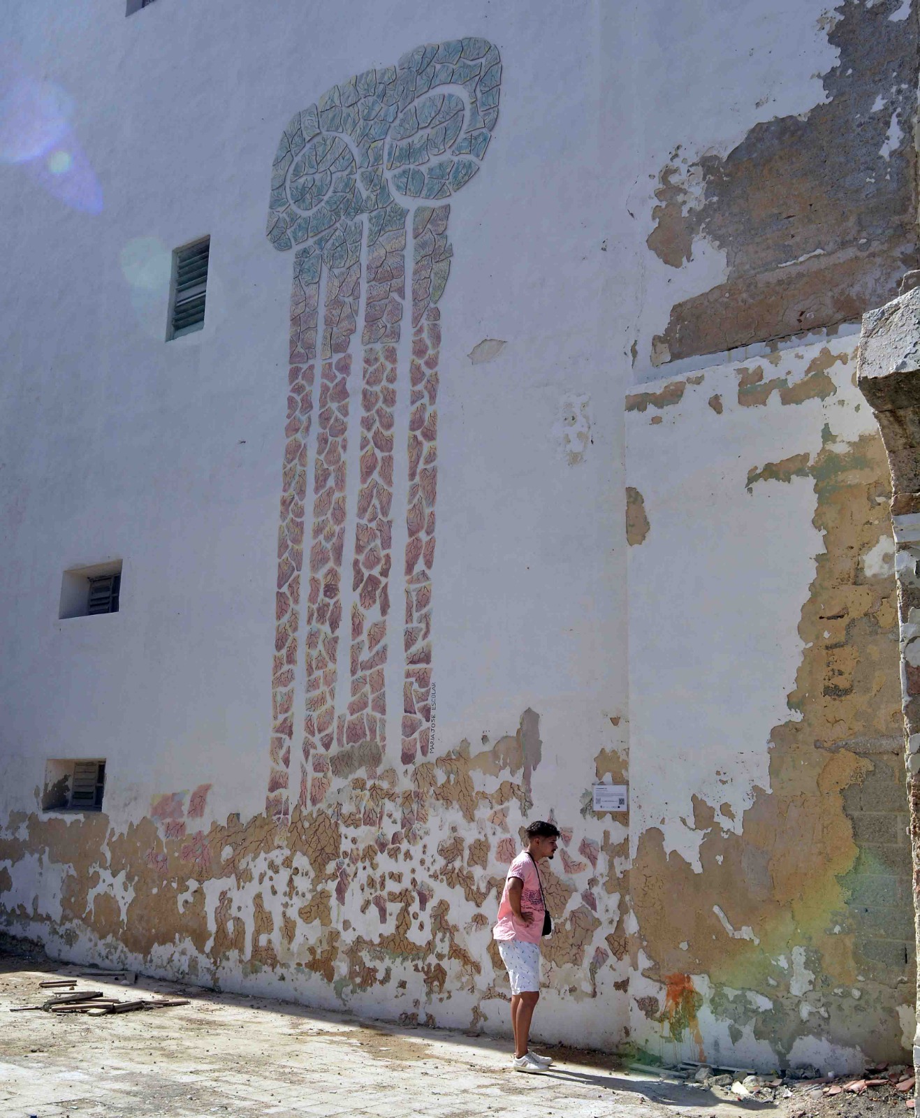 Obras De La Bienal de La Habana 