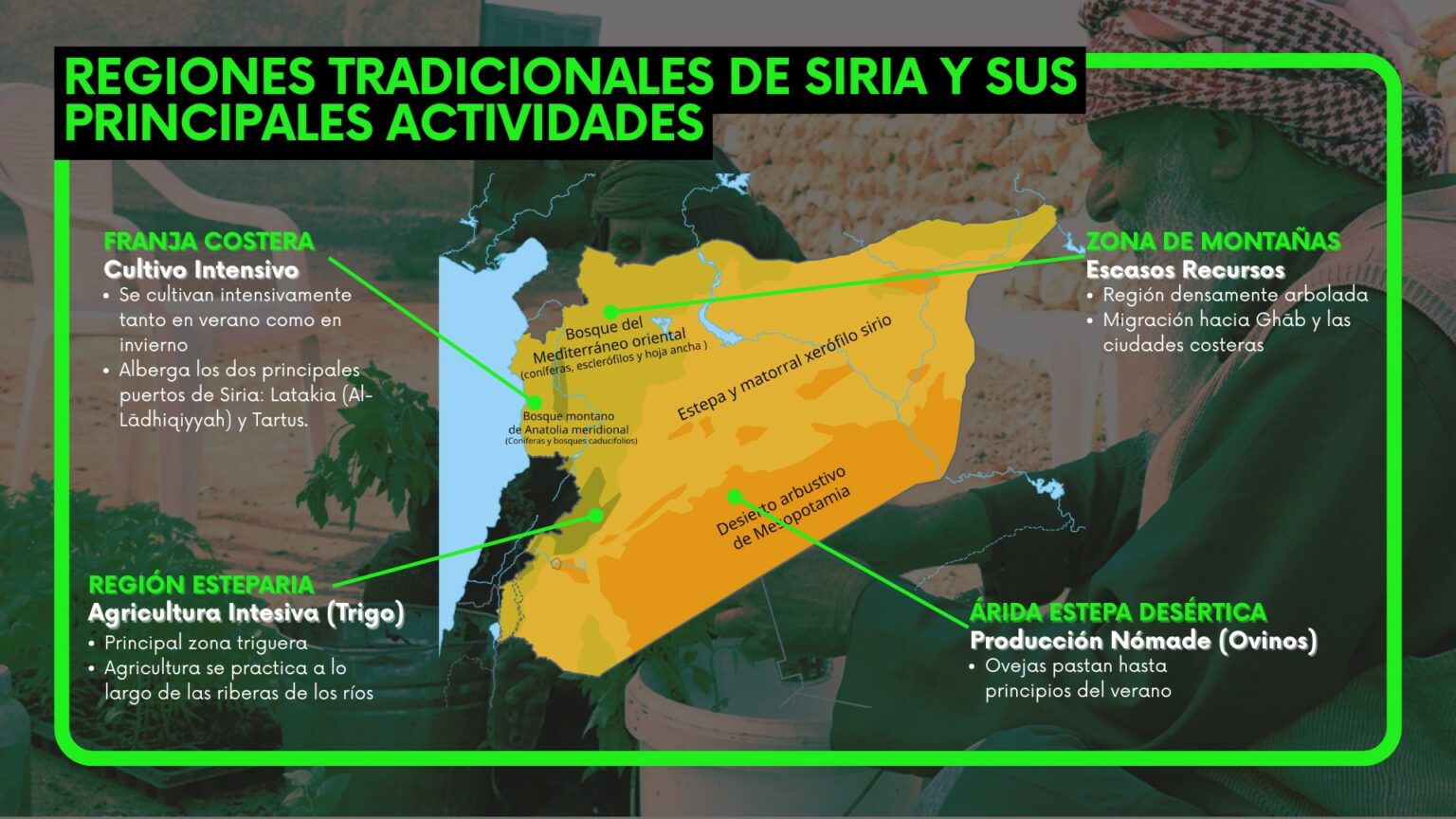 siria: Una tierra fértil arrasada por el conflicto siria: Una tierra fértil arrasada por el conflicto