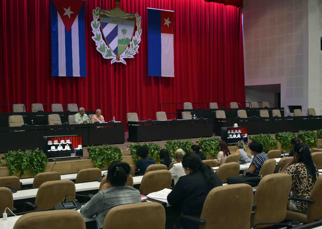 Continuidad de las comisiones a la Asamblea Continuidad de las comisiones a la Asamblea