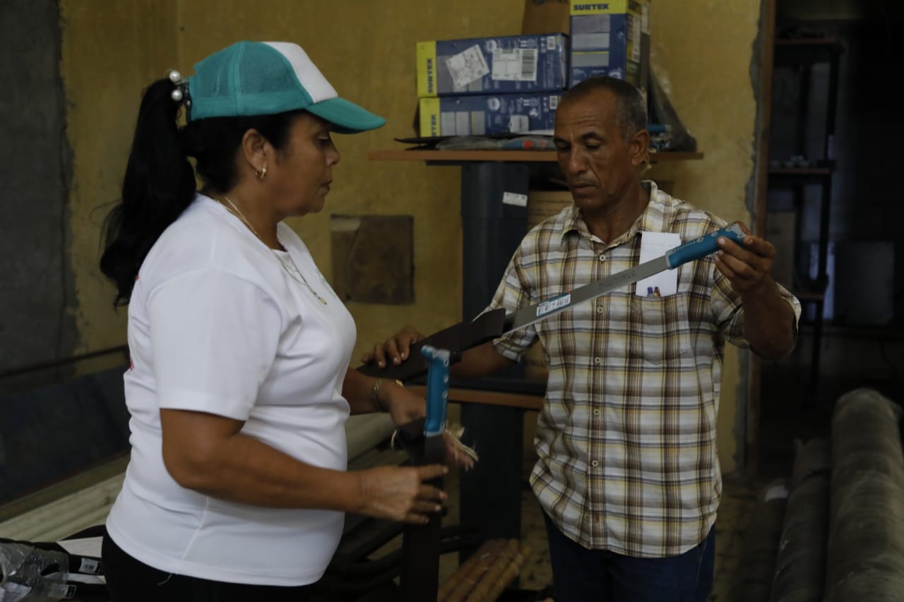 La cosecha de la resiliencia