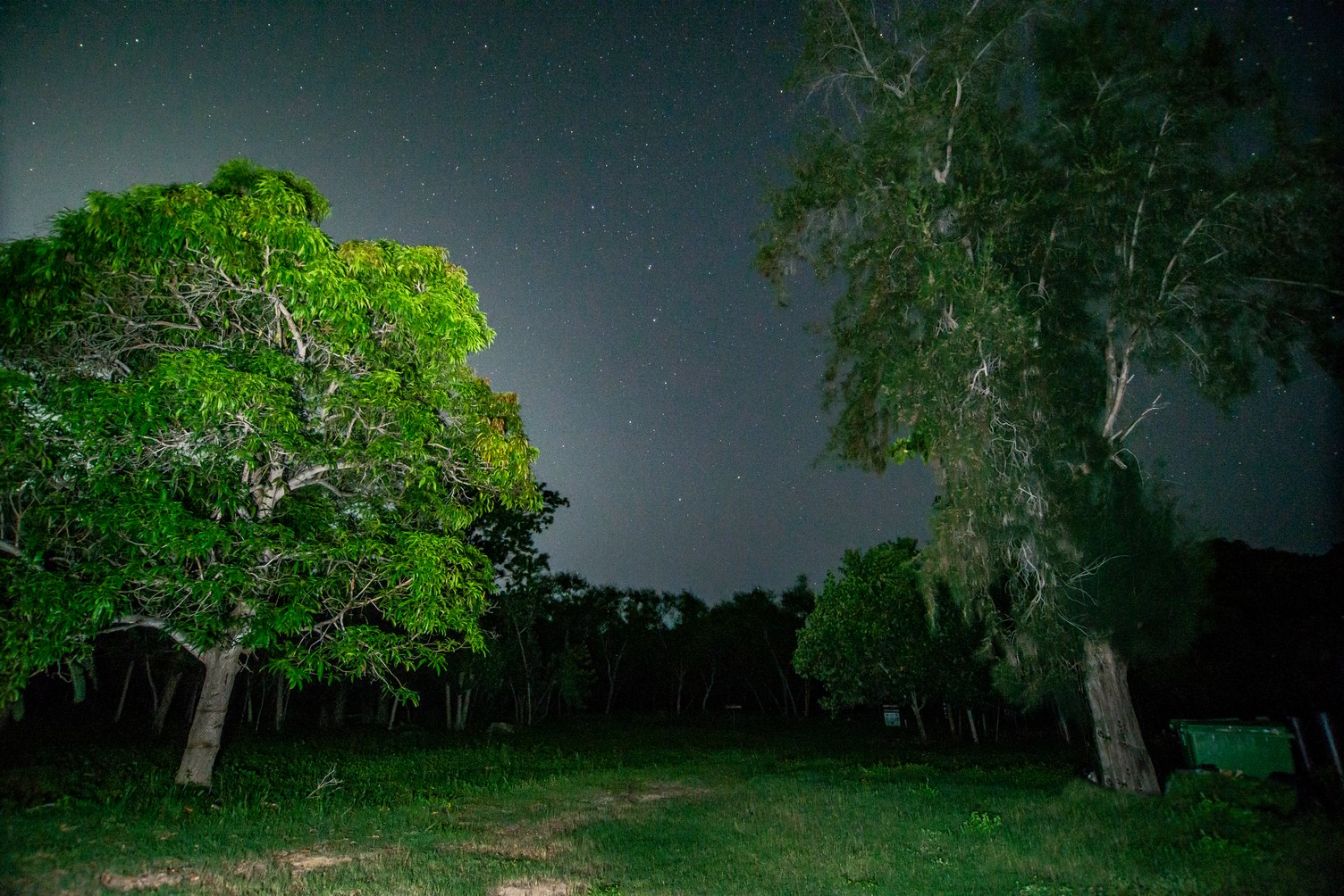 La naturaleza puso su arte en un rincón de La Habana